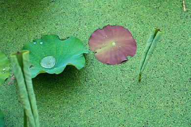 《七龙珠 电光炸裂！ZERO》将登陆Switch 2